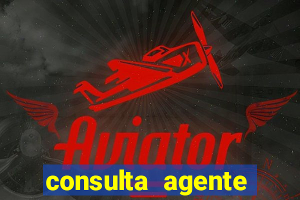 consulta agente autuador sp